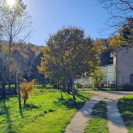 La Casa Dei Cavalli 나르니