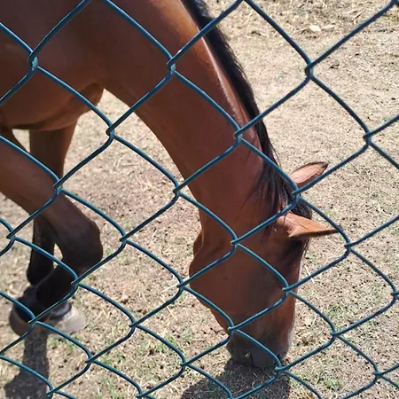 B&B La Casa Dei Cavalli 나르니