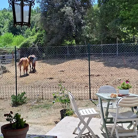 La Casa Dei Cavalli *