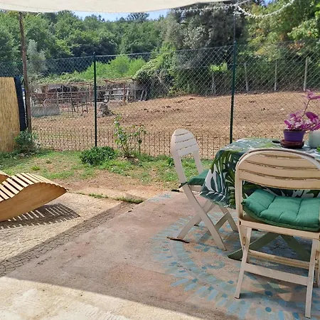 ベッド・アンド・ブレックファスト La Casa Dei Cavalli