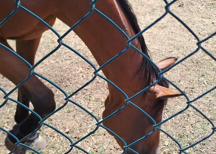 Bed & Breakfast La Casa Dei Cavalli Narni